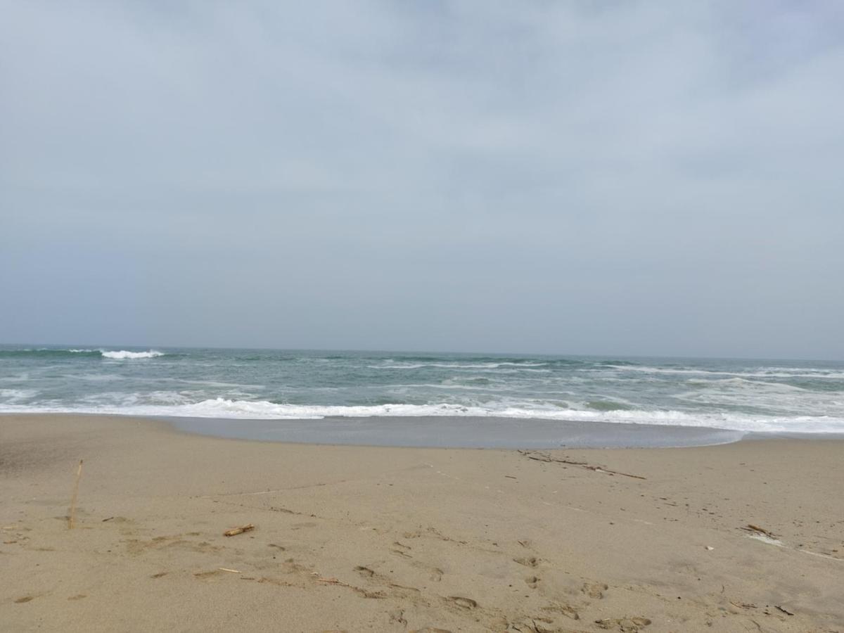 Saint Cyprien - Appart - Piscine-Mer Ngoại thất bức ảnh